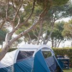 Decathlon 4 person camping tent, Arpenaz 4.1, Fresh & Black Tesco Groceries