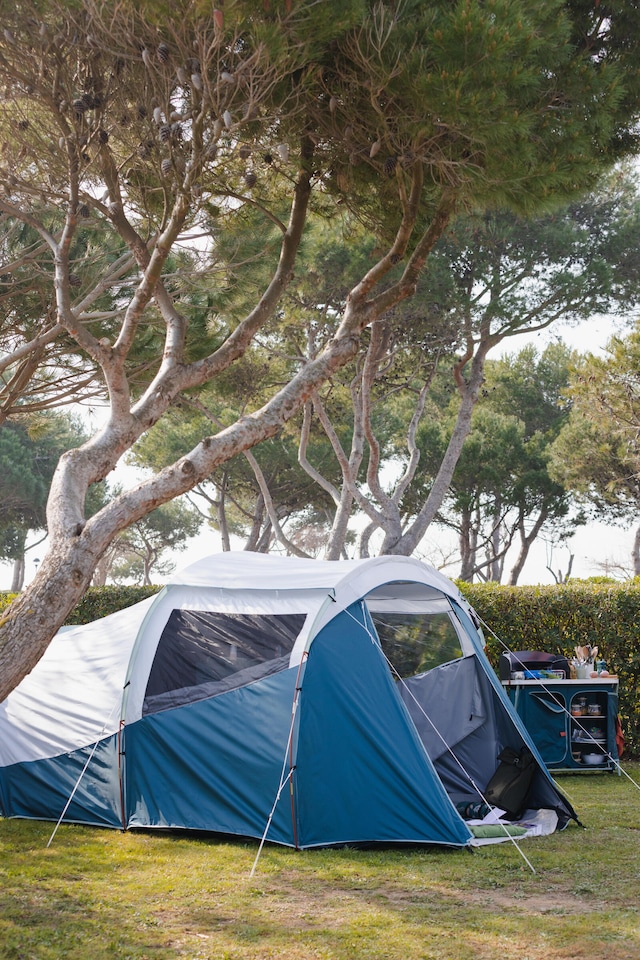arpenaz-4-1-fresh-black-077sbh.jpg Decathlon 4 person camping tent, Arpenaz 4.1, Fresh & Black Tesco Groceries - Afbeelding 1